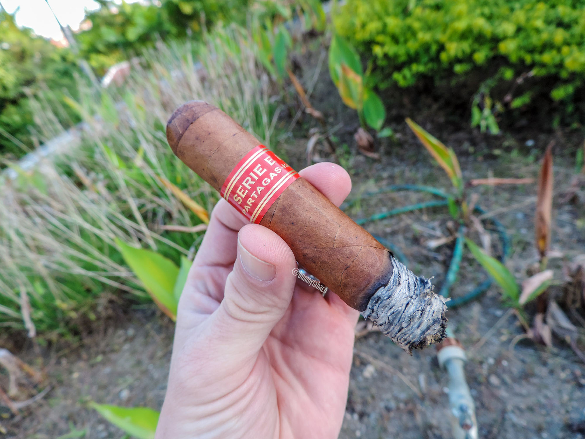 Partagas - Serie E No. 2 06