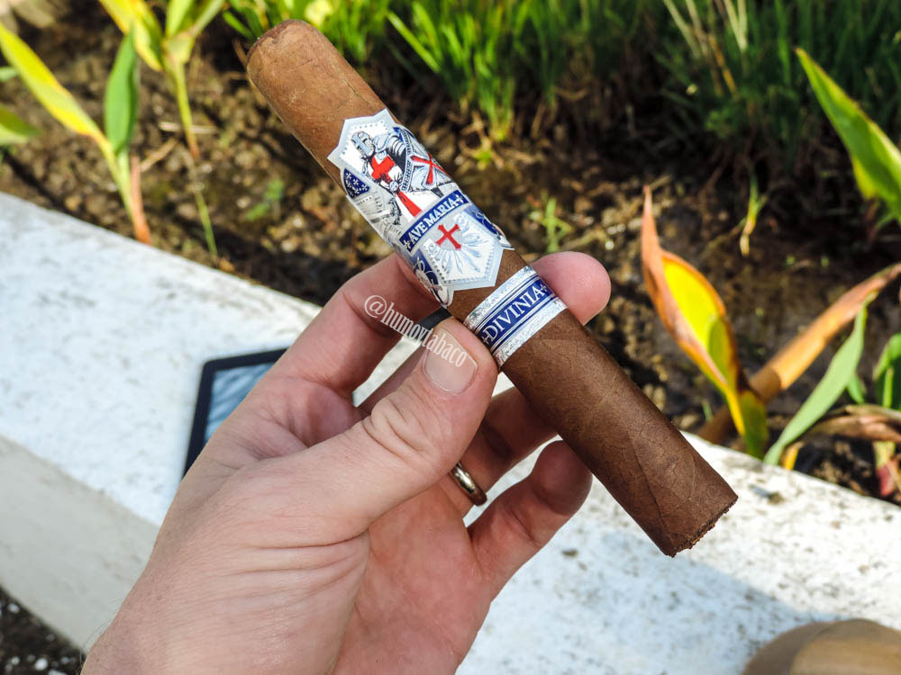 Ave Maria - Divinia 01