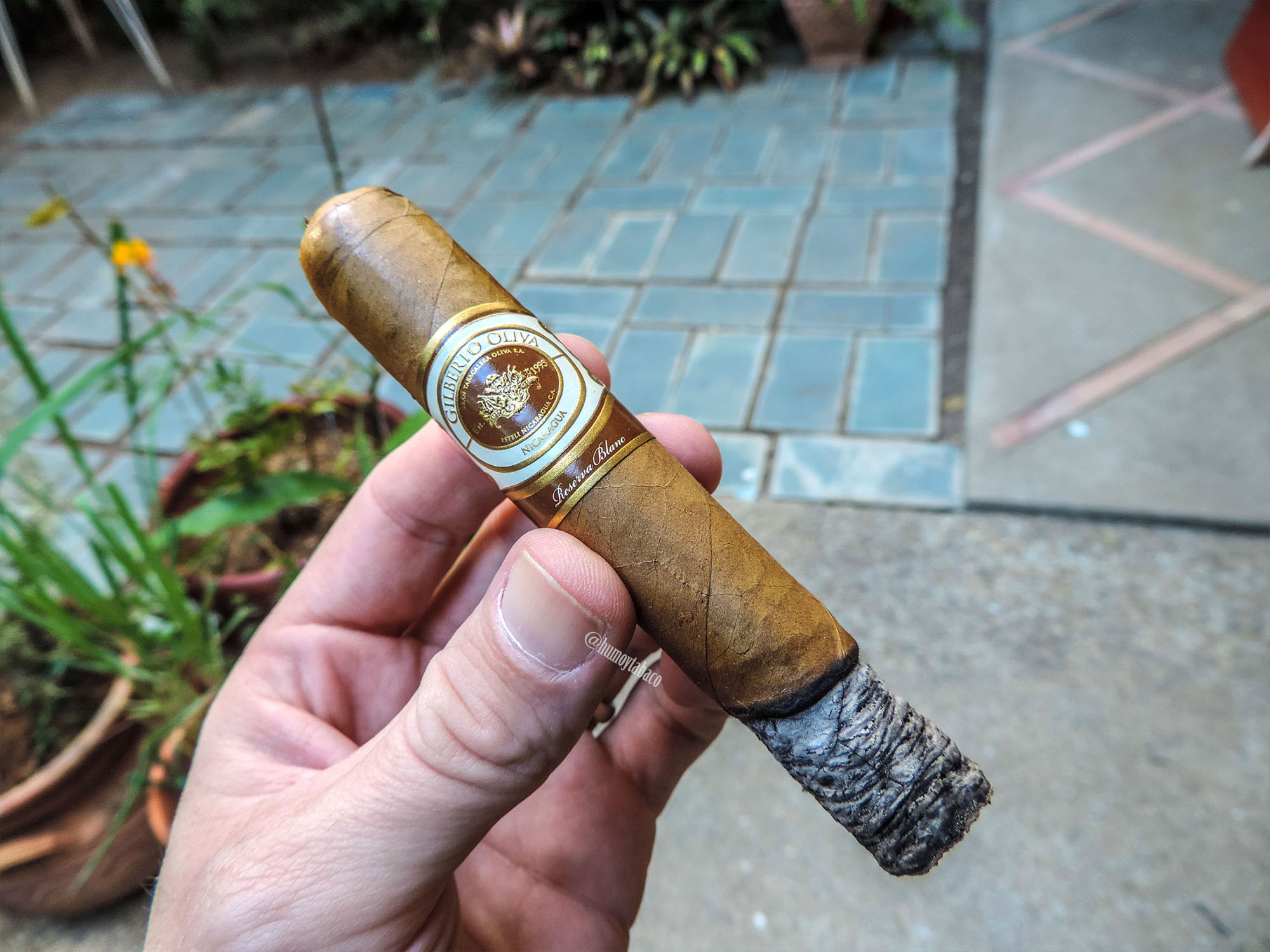 Gilberto Oliva - Reserva Blanc 03