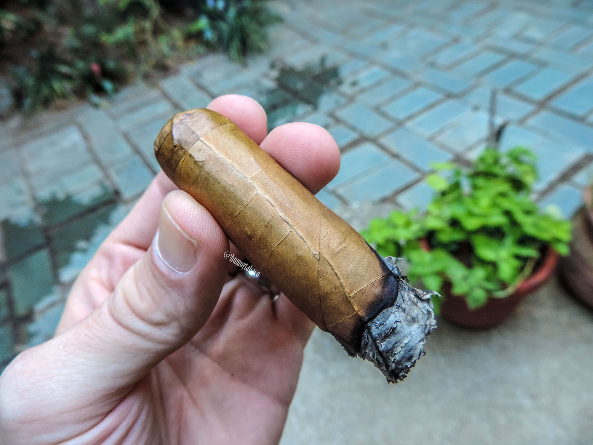 Gilberto Oliva - Reserva Blanc 05