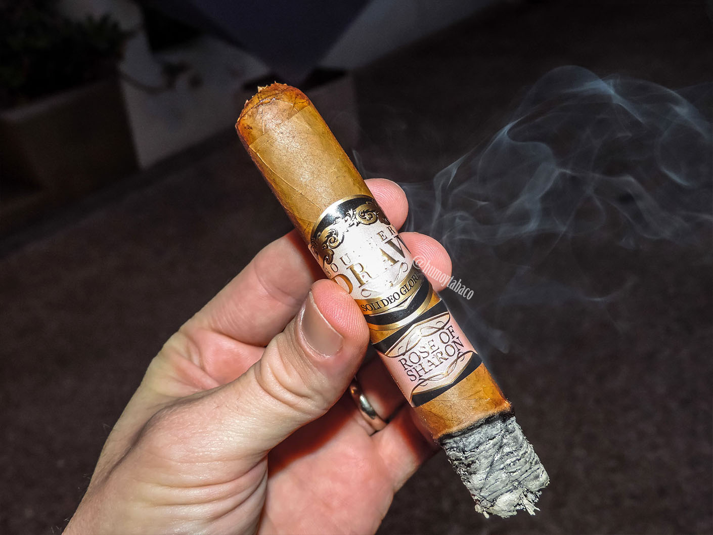 Southern Draw - Rose of Sharon 05