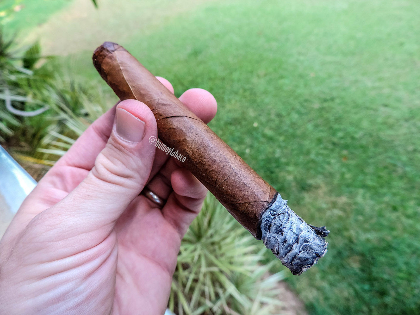 Cornelio Cigars - Estrella de Punta Cana 03