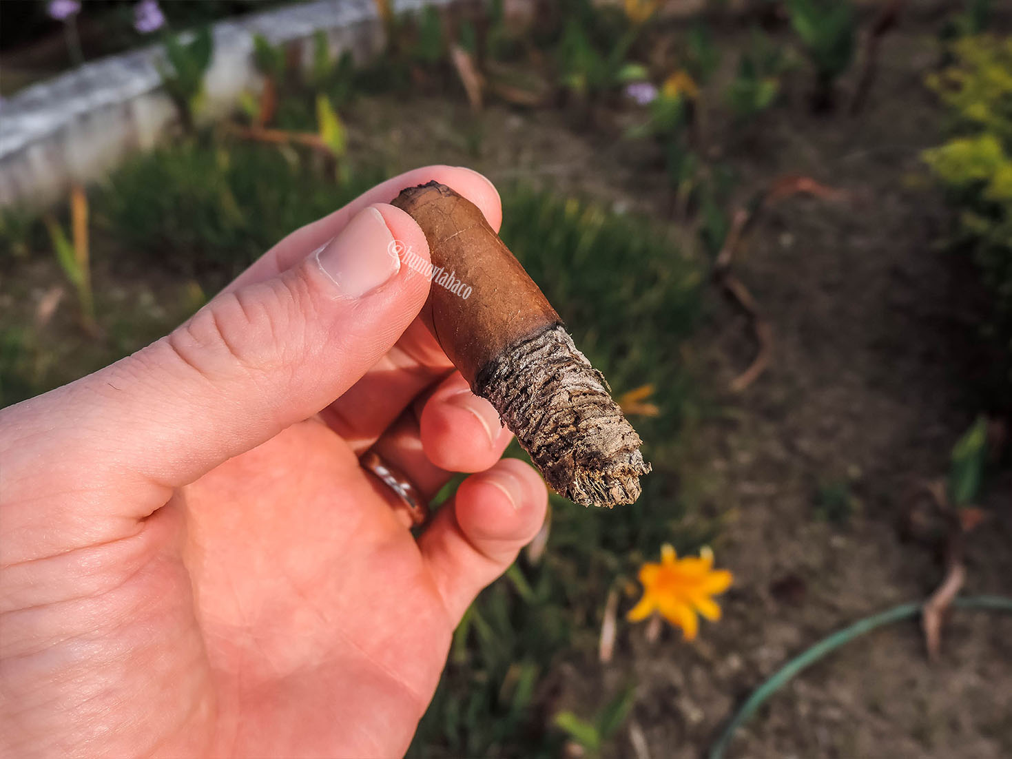 Cornelius & Anthony - Daddy Mac 07