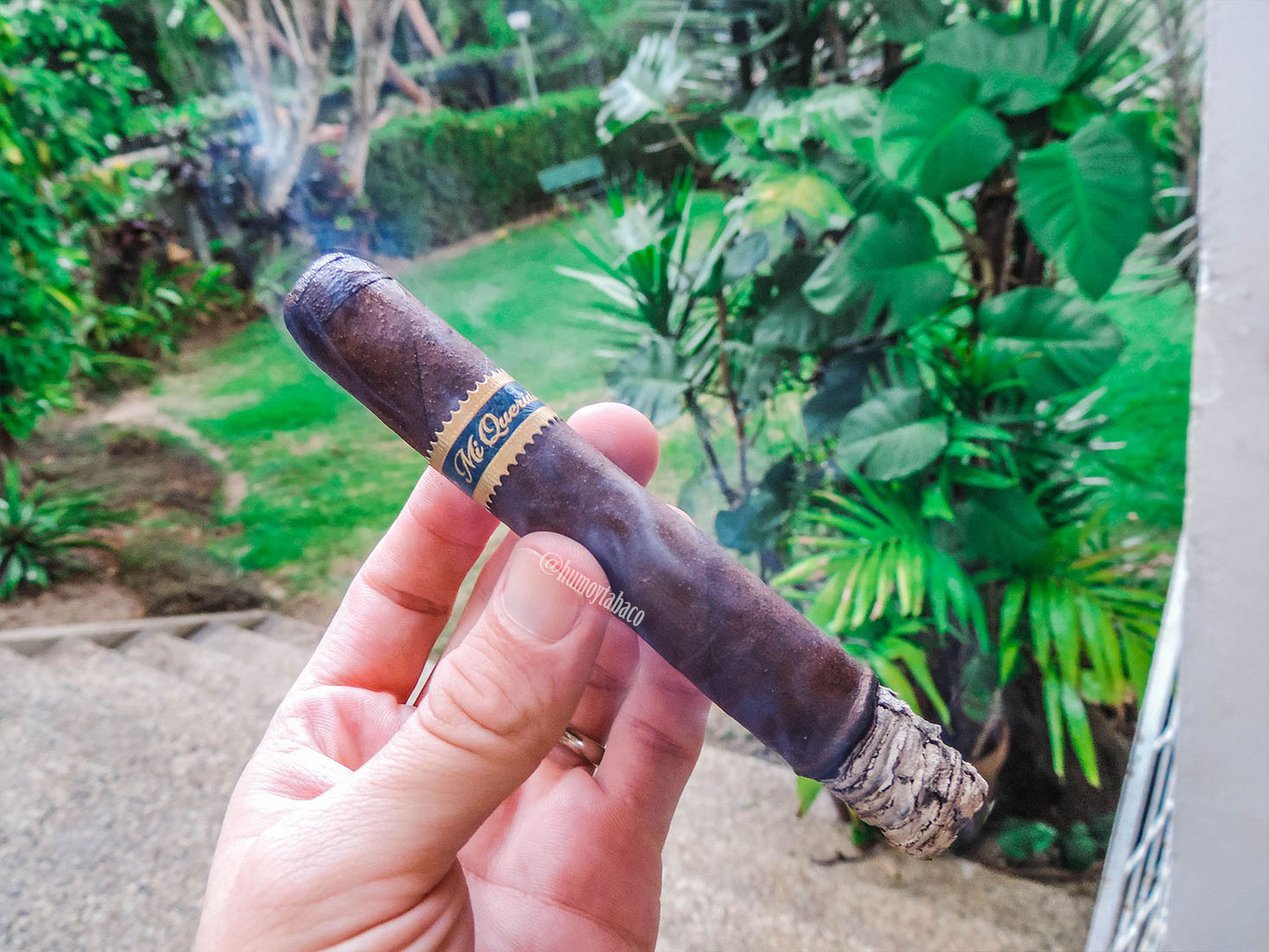 Dunbarton - MI Querida 03