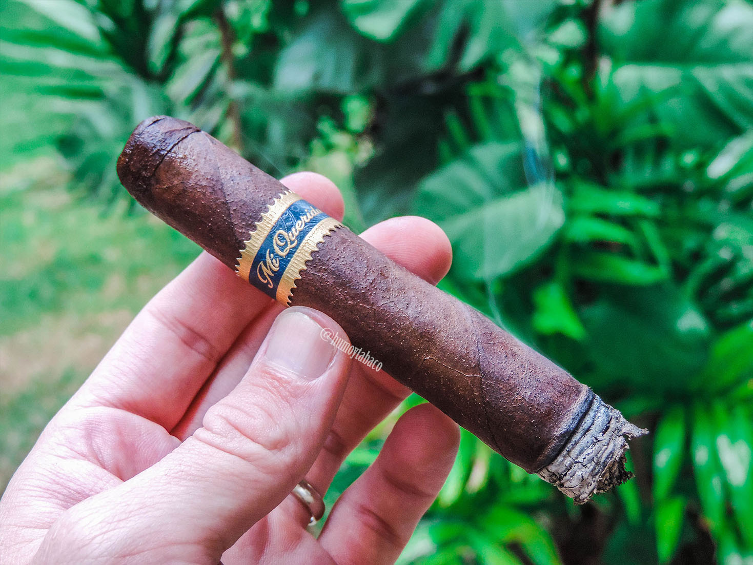 Dunbarton - MI Querida 04