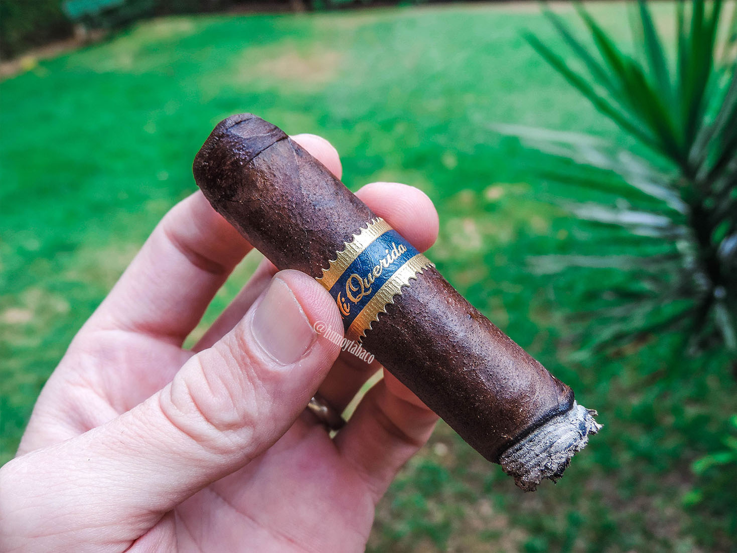 Dunbarton - MI Querida 05