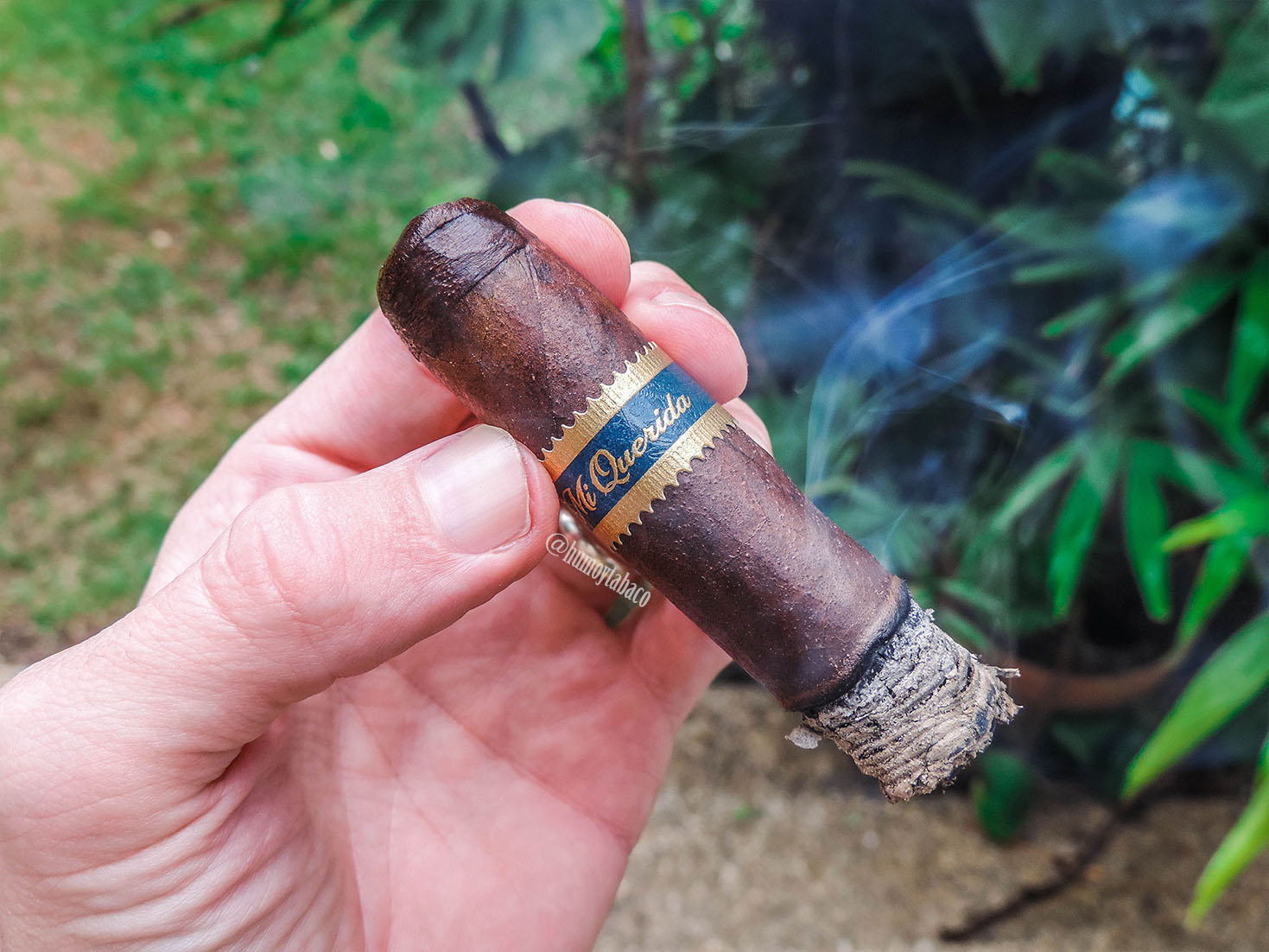 Dunbarton - MI Querida 06