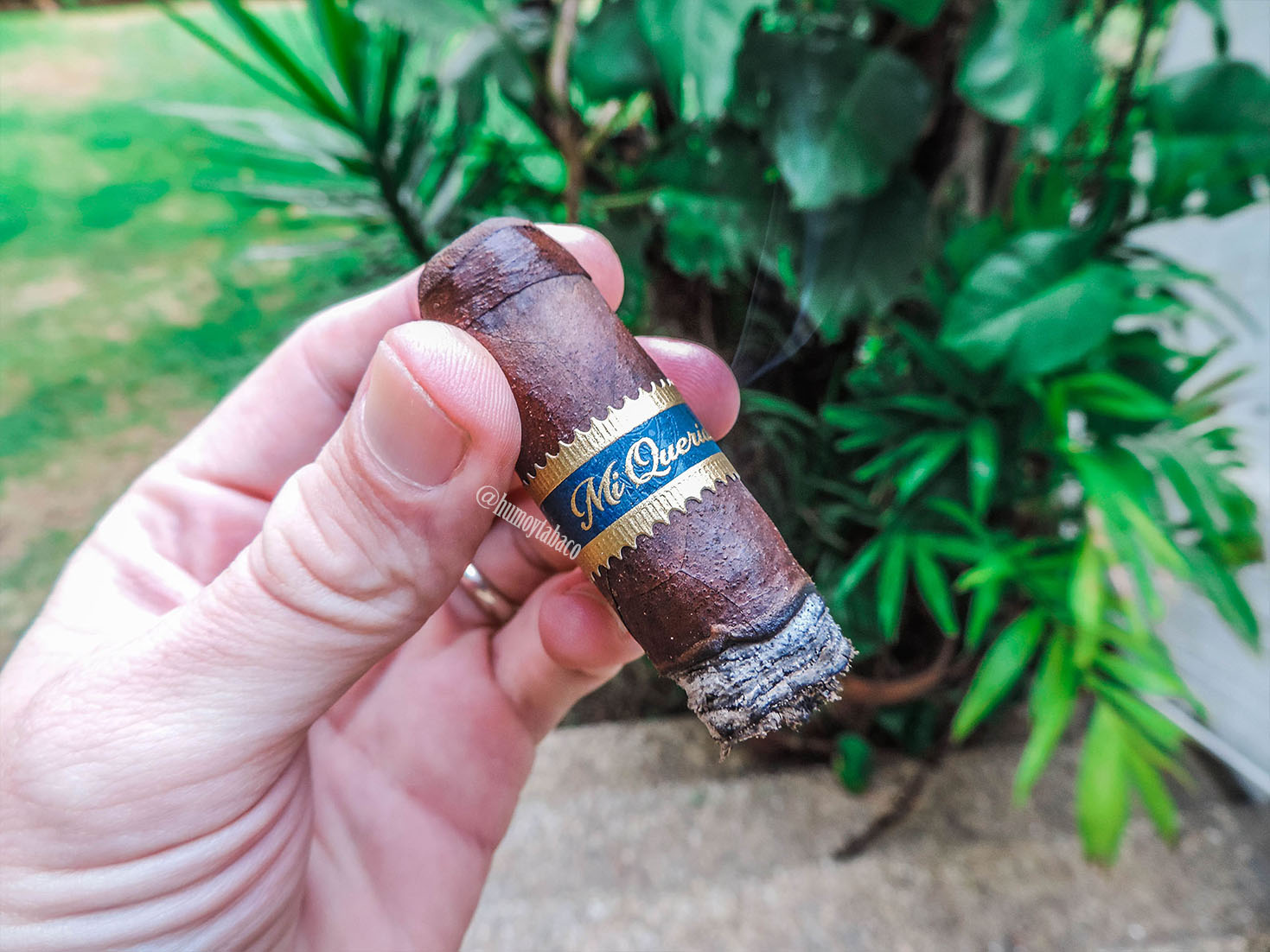 Dunbarton - MI Querida 07