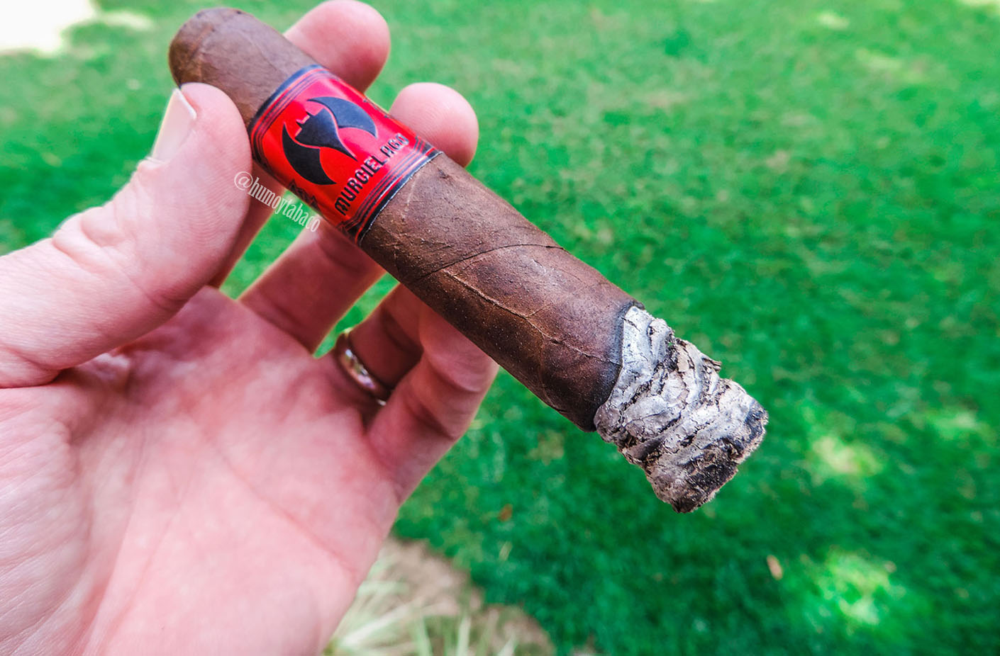 Espinosa - Murcielago 03