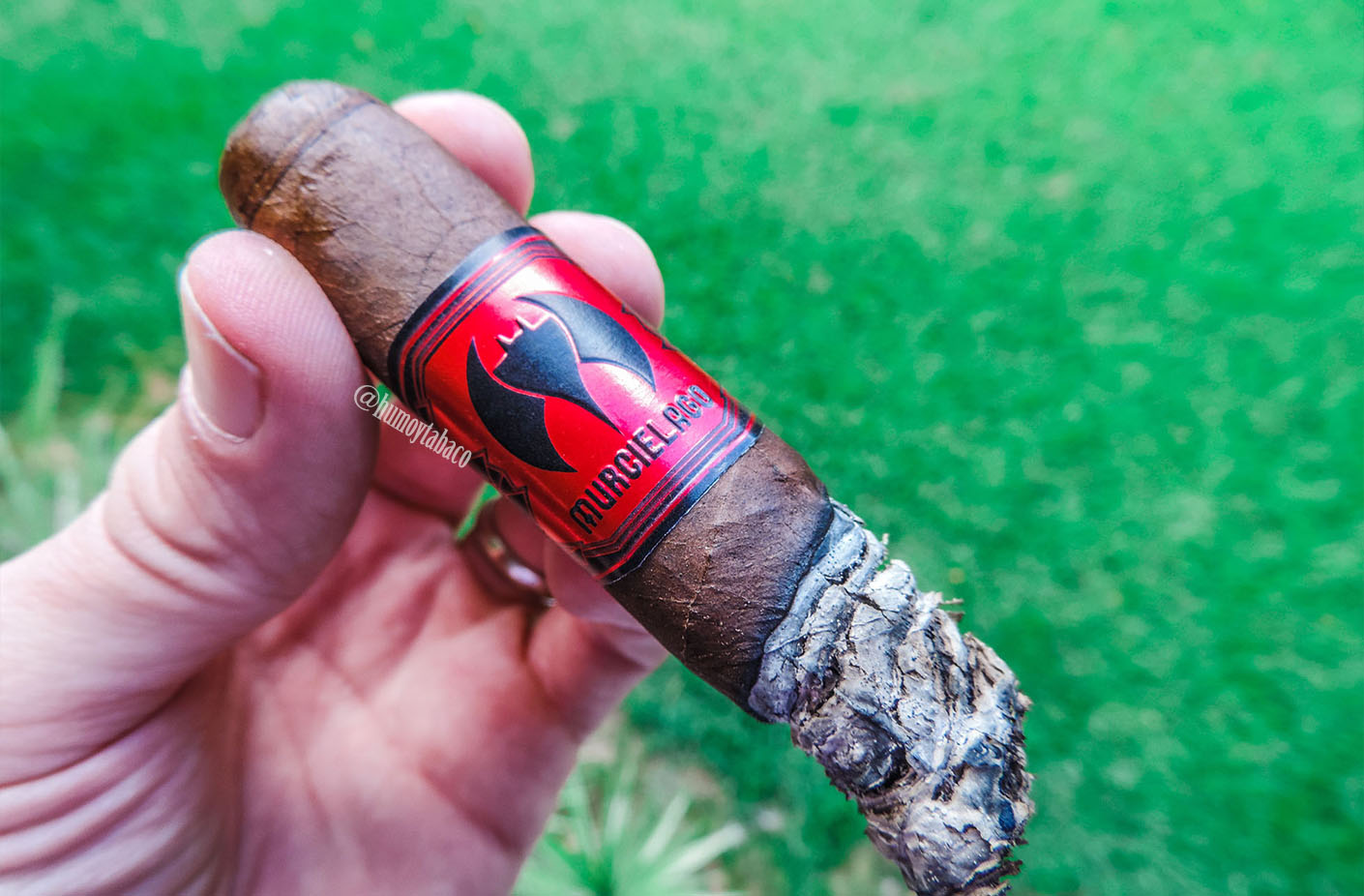 Espinosa - Murcielago 05