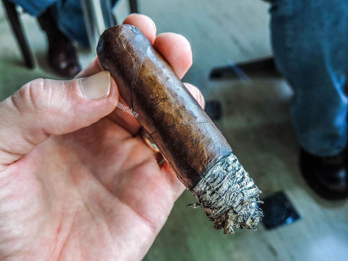 Esteban Carreras - Chupacabra 06