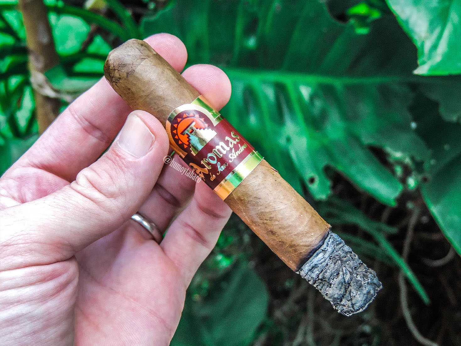 Santa Clara - Aromas de San Andres 03