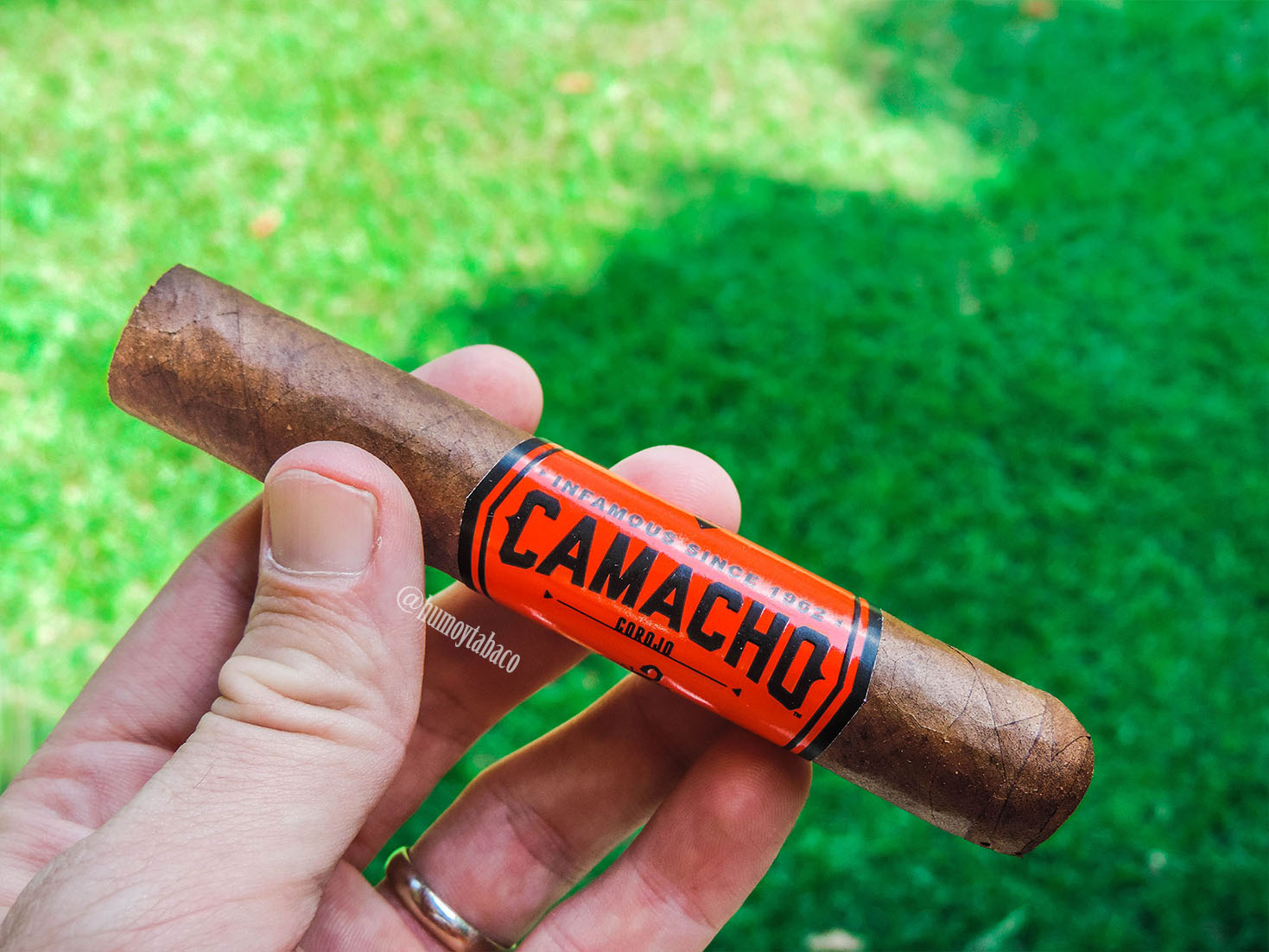 Camacho - Corojo 01