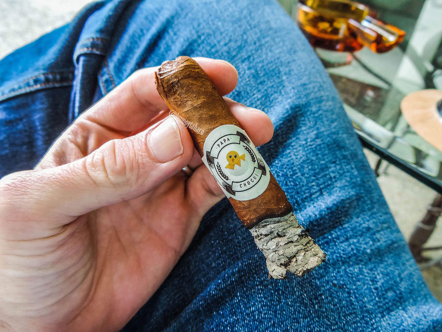 Chogüí - Papa Chogüí 05