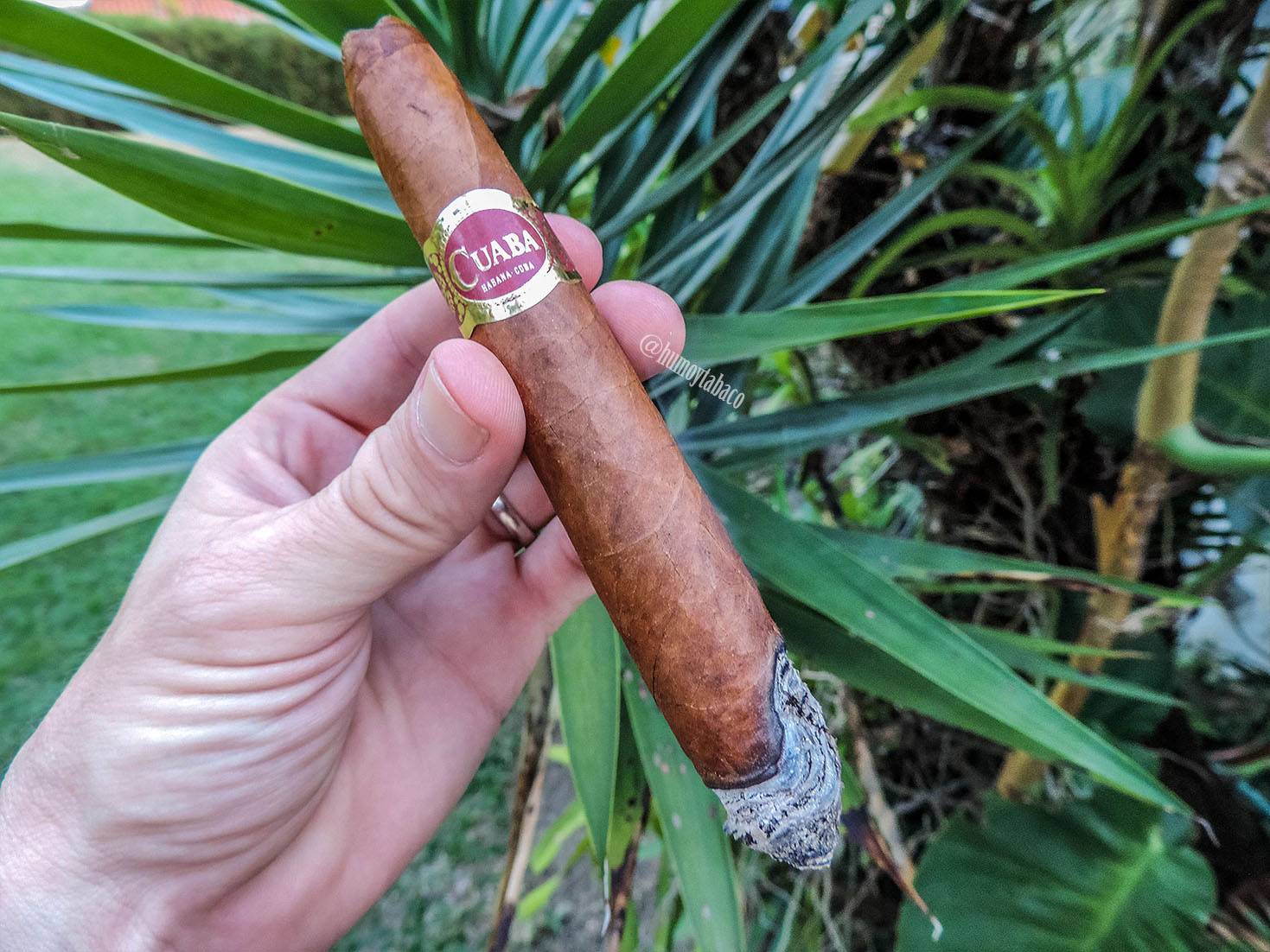 Cuaba - Distinguidos 02