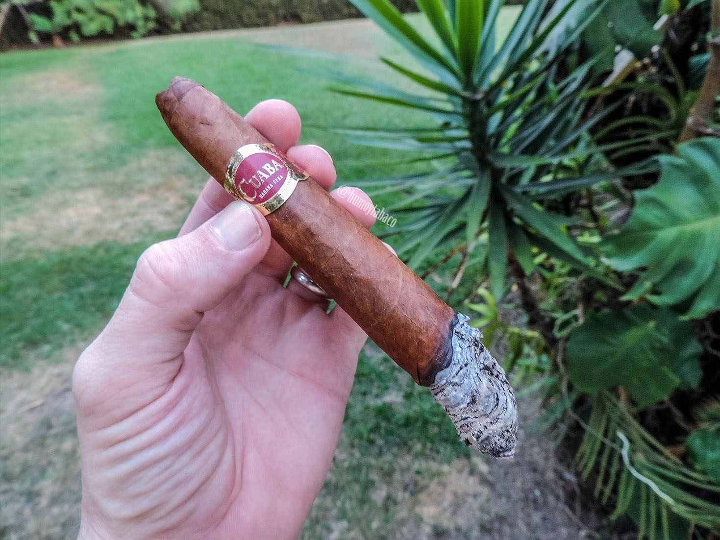 Cuaba - Distinguidos 03