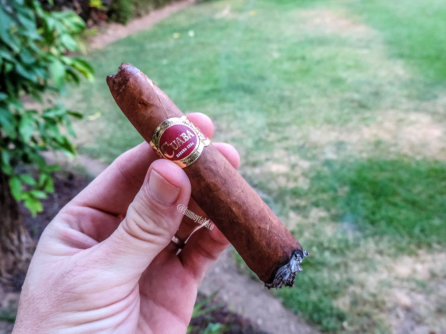 Cuaba - Distinguidos 04