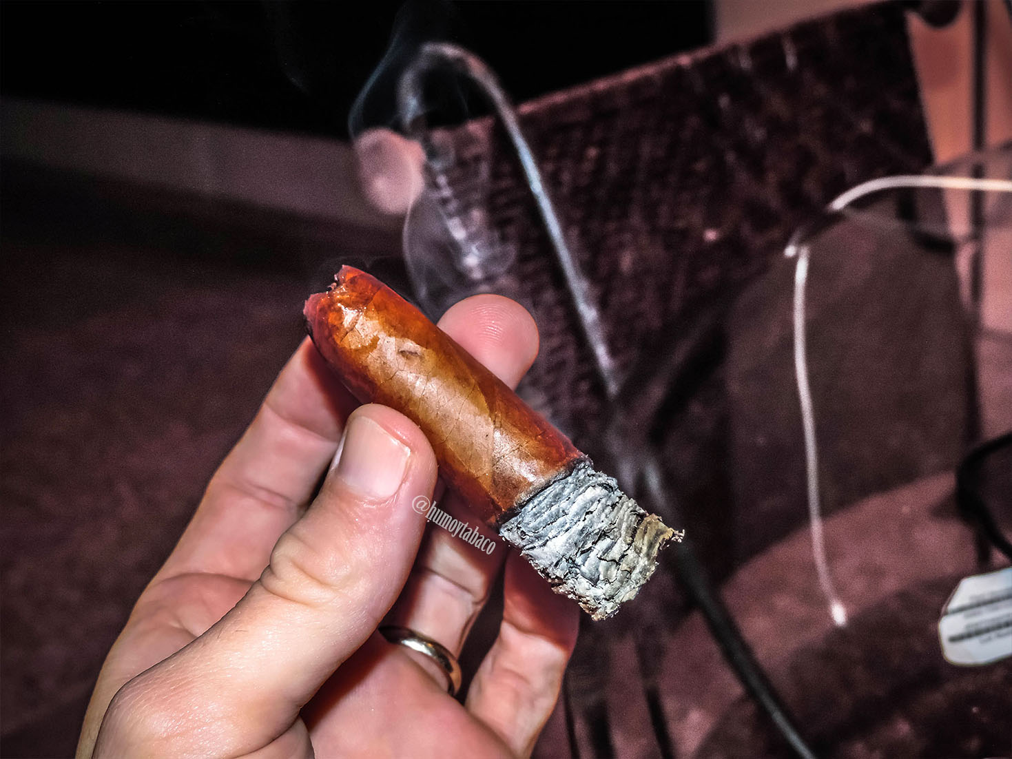 Cuaba - Distinguidos 06