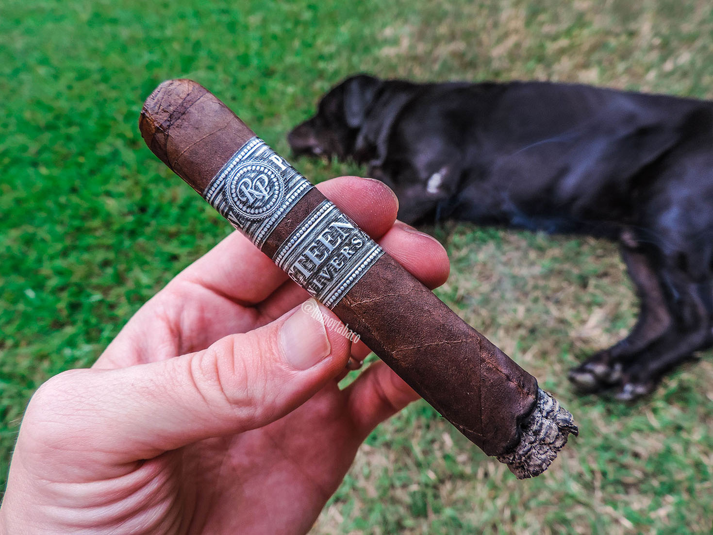 Rocky Patel - 15th Anniversary 02