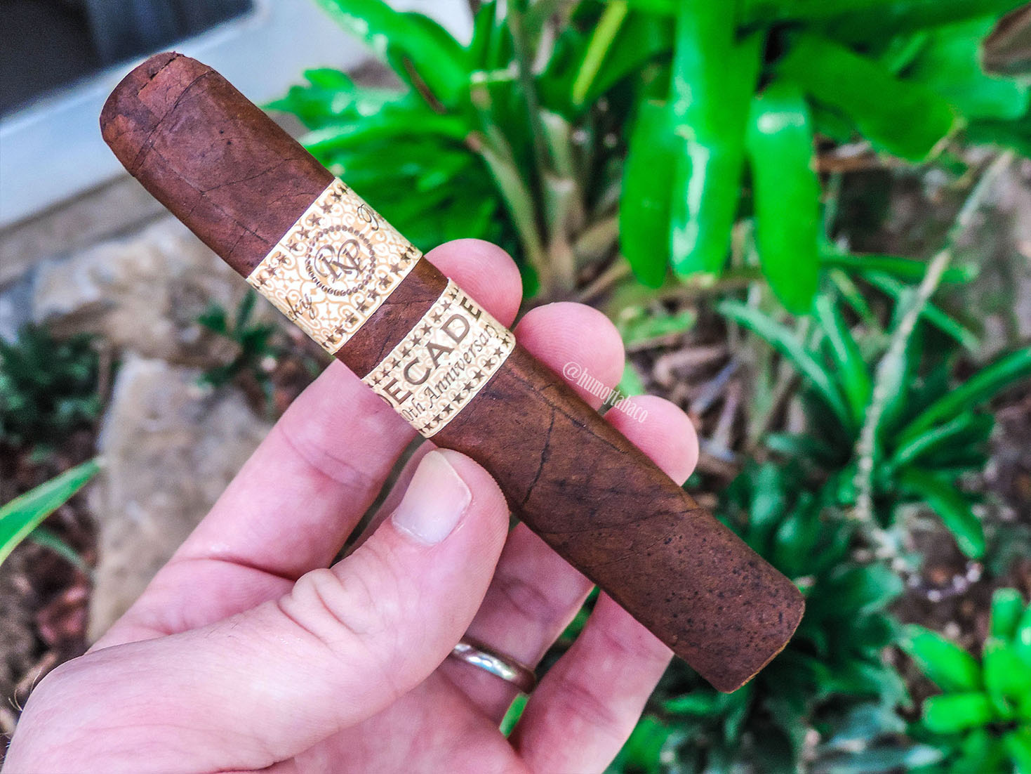 Rocky Patel - Decade 01