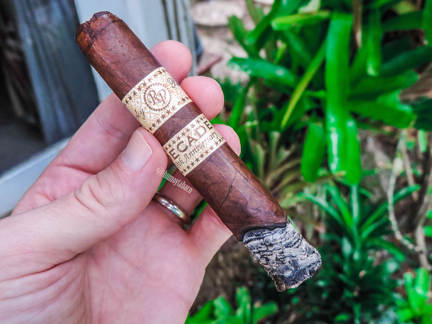 Rocky Patel - Decade 03