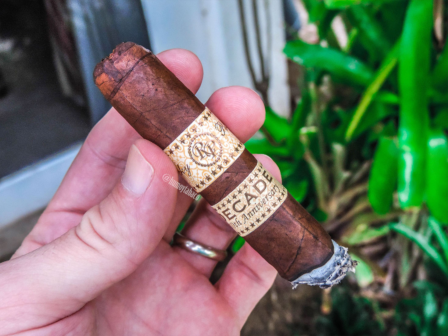 Rocky Patel - Decade 04