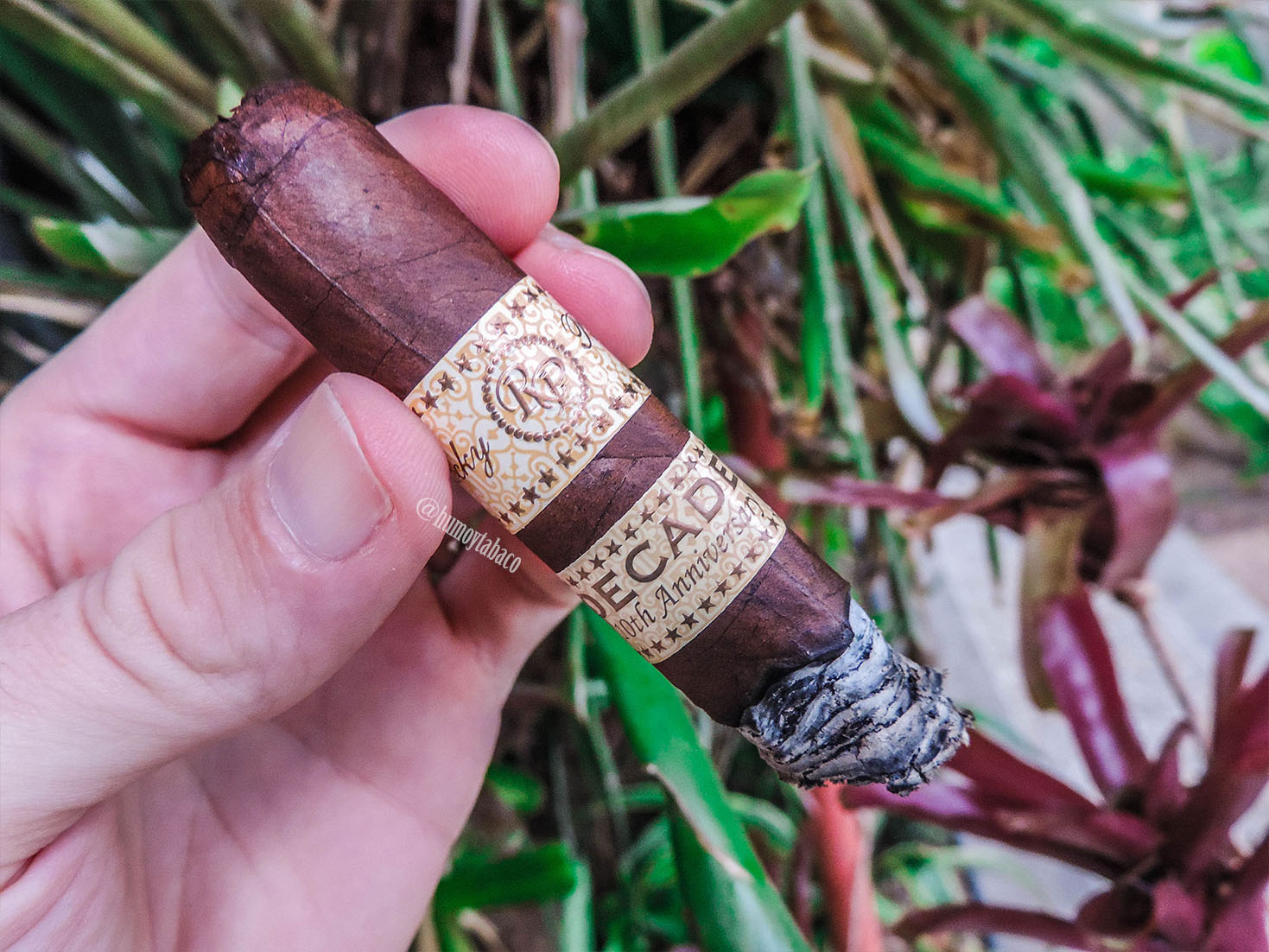 Rocky Patel - Decade 05