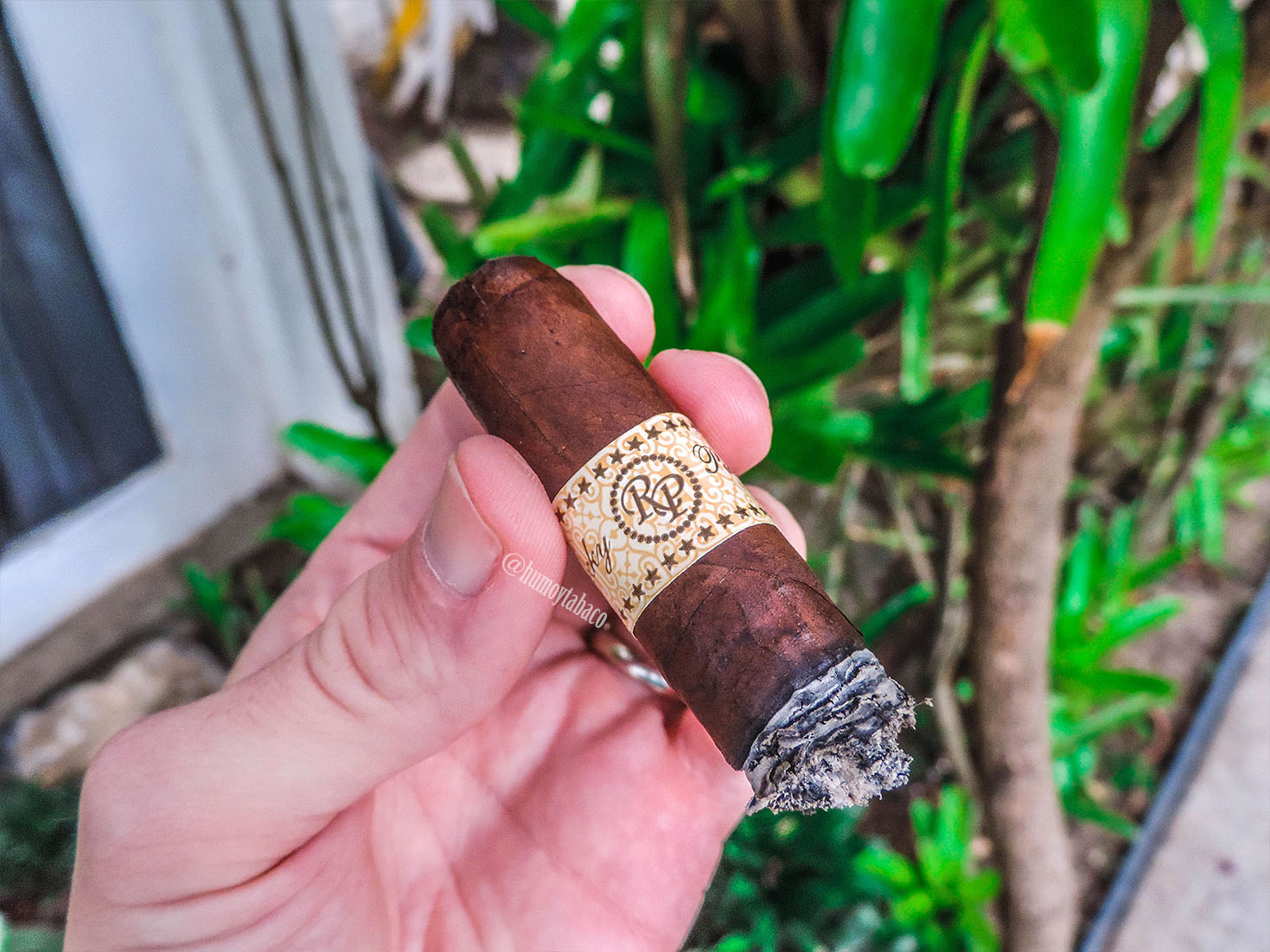 Rocky Patel - Decade 06