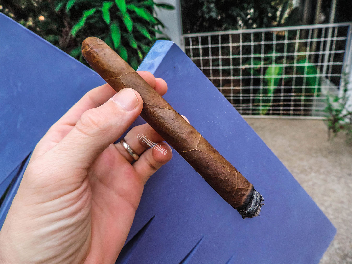 CFT - Girl Next Door 02