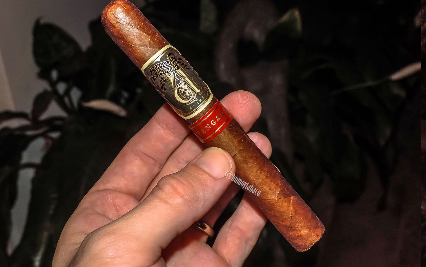 Cornelius & Anthony - Venganza 01