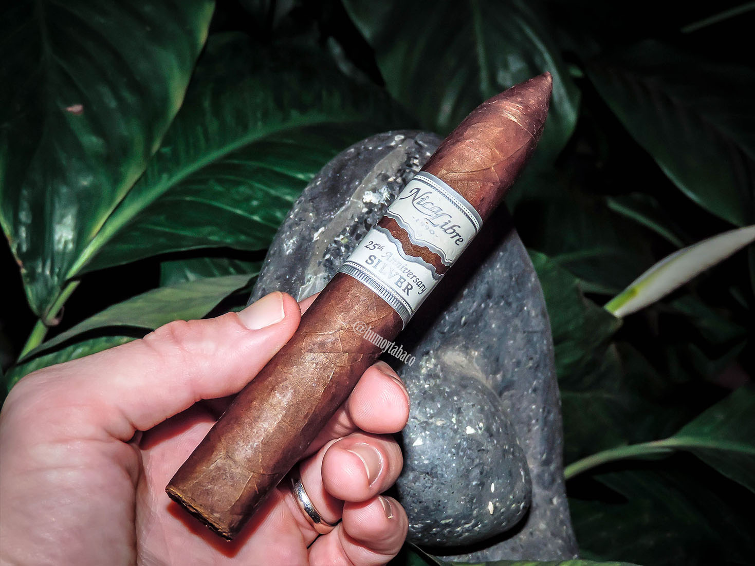 Nica Libre - 25th Anniversary 01