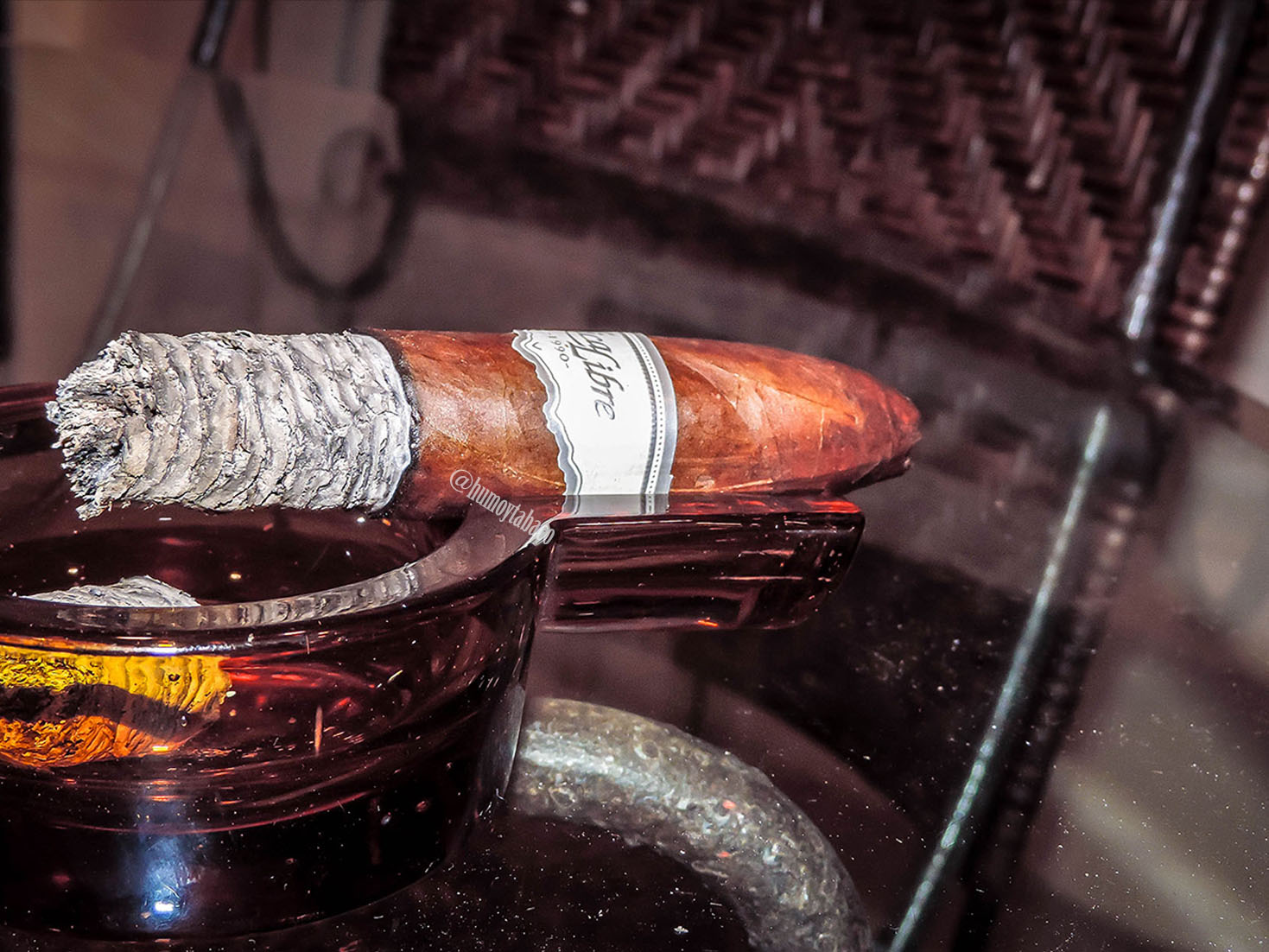 Nica Libre - 25th Anniversary 06