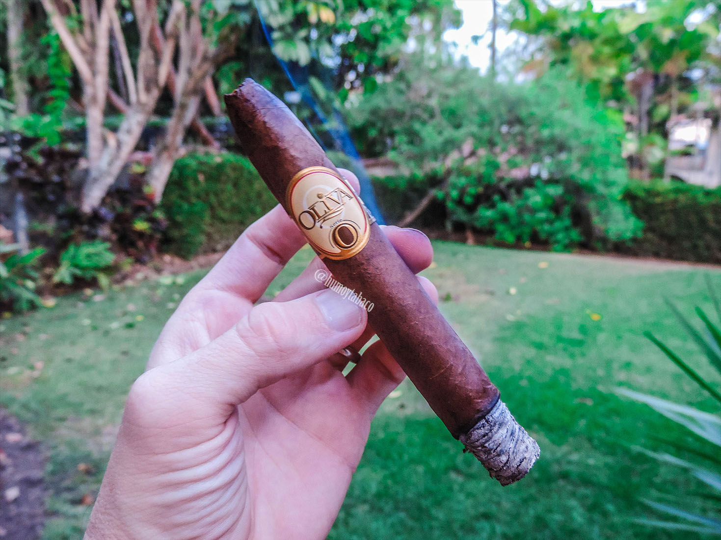 Oliva Serie O 03