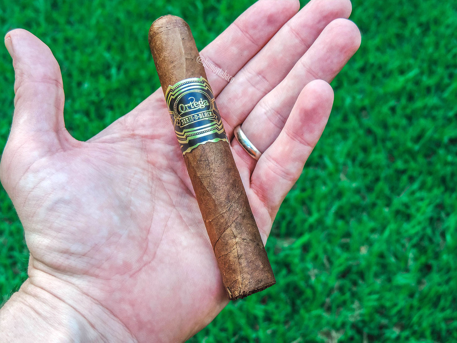 Ortega - Serie D Black 01