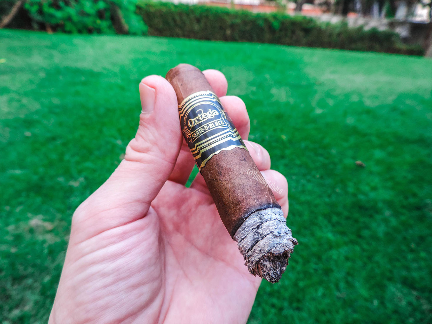 Ortega - Serie D Black 04