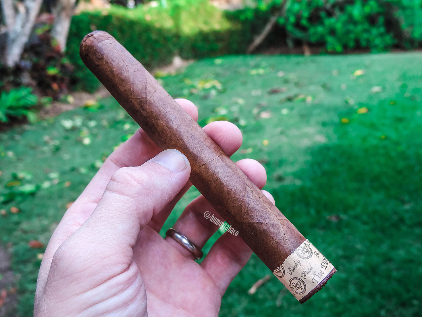 Rocky Patel - The Edge Corojo 01