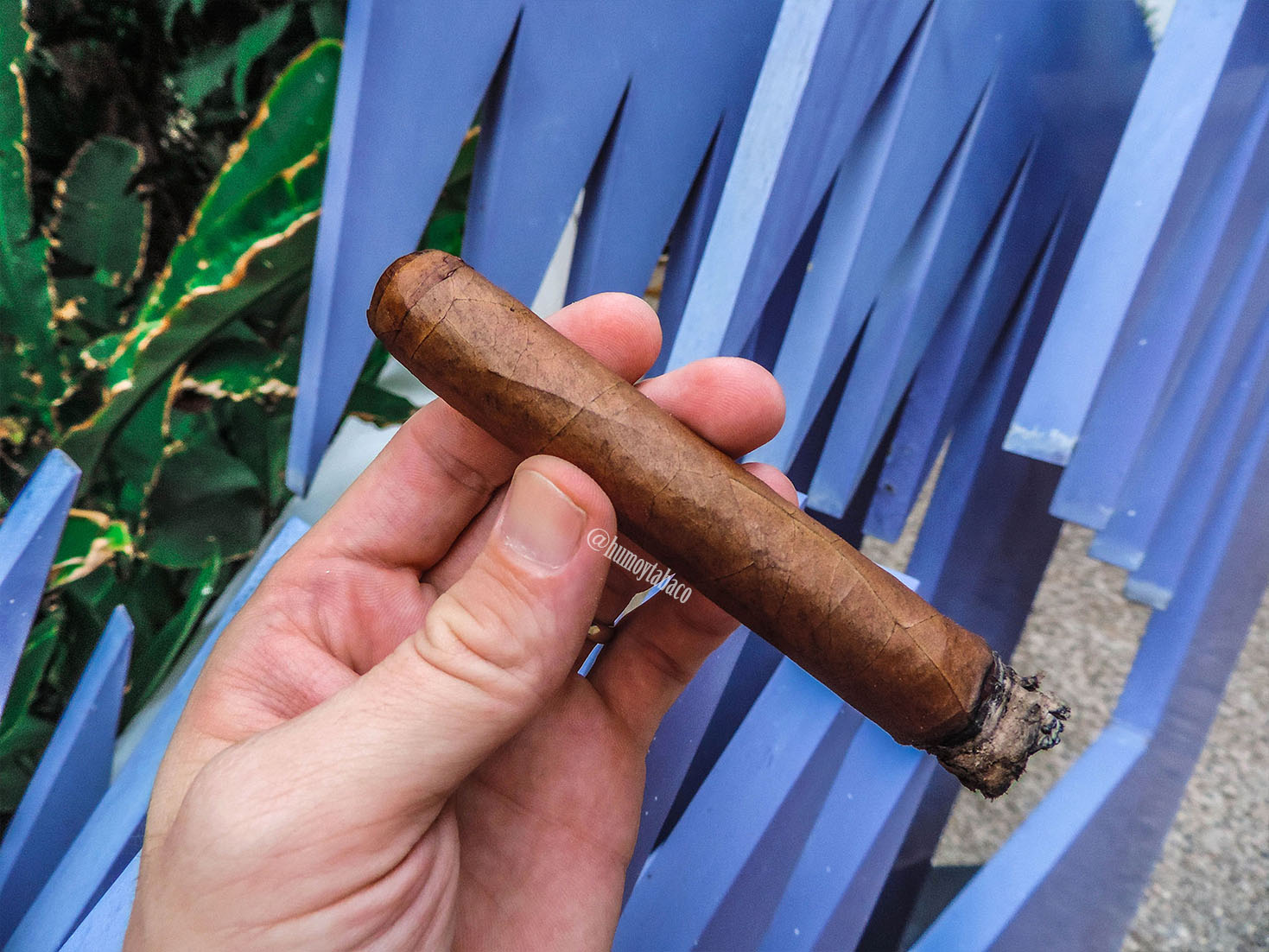 Rocky Patel - The Edge Corojo 03