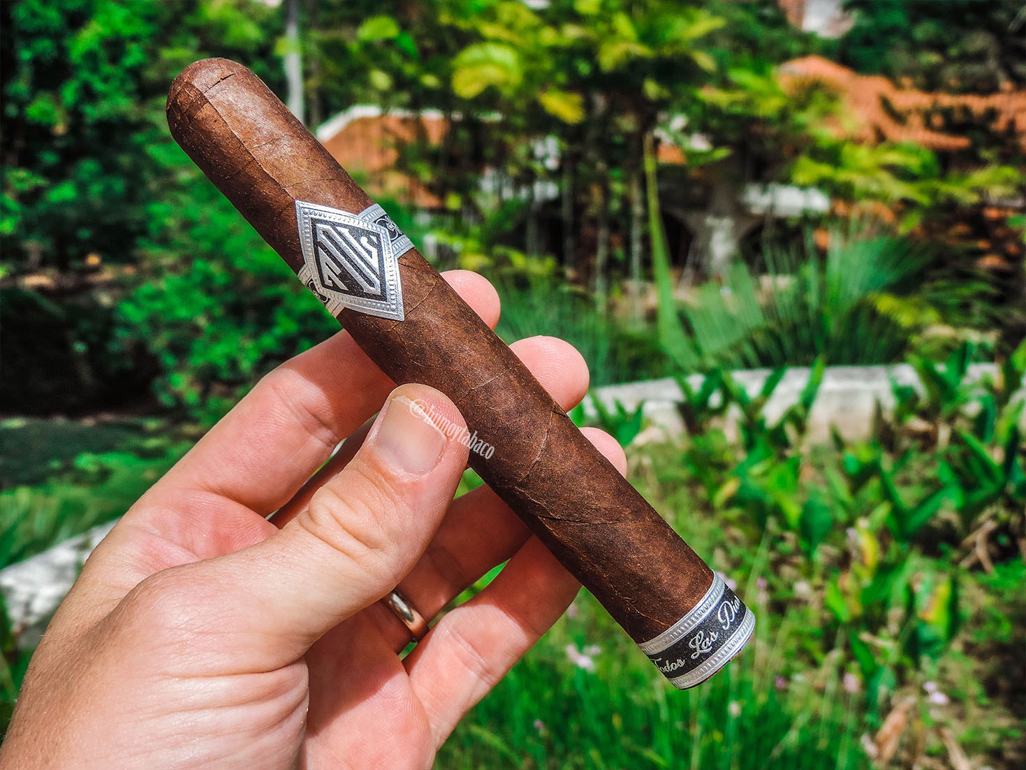 Dunbarton - Todos Las Dias 01