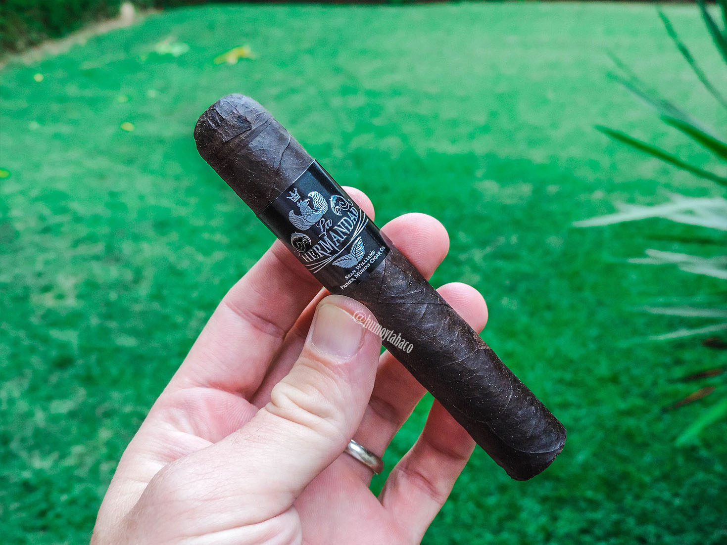 El Primer Mundo - La Hermandad 01