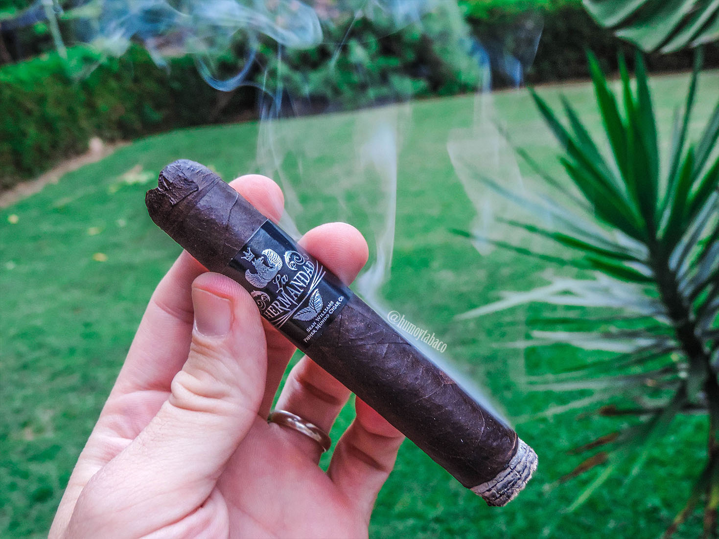 El Primer Mundo - La Hermandad 02