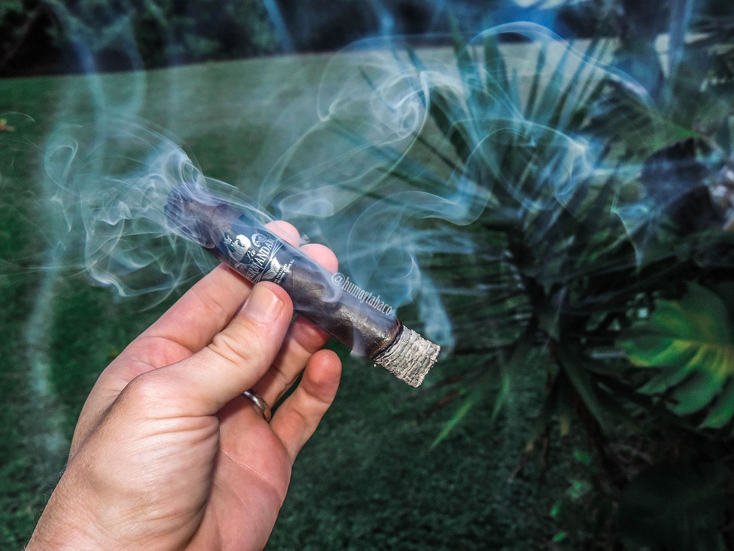 El Primer Mundo - La Hermandad 03