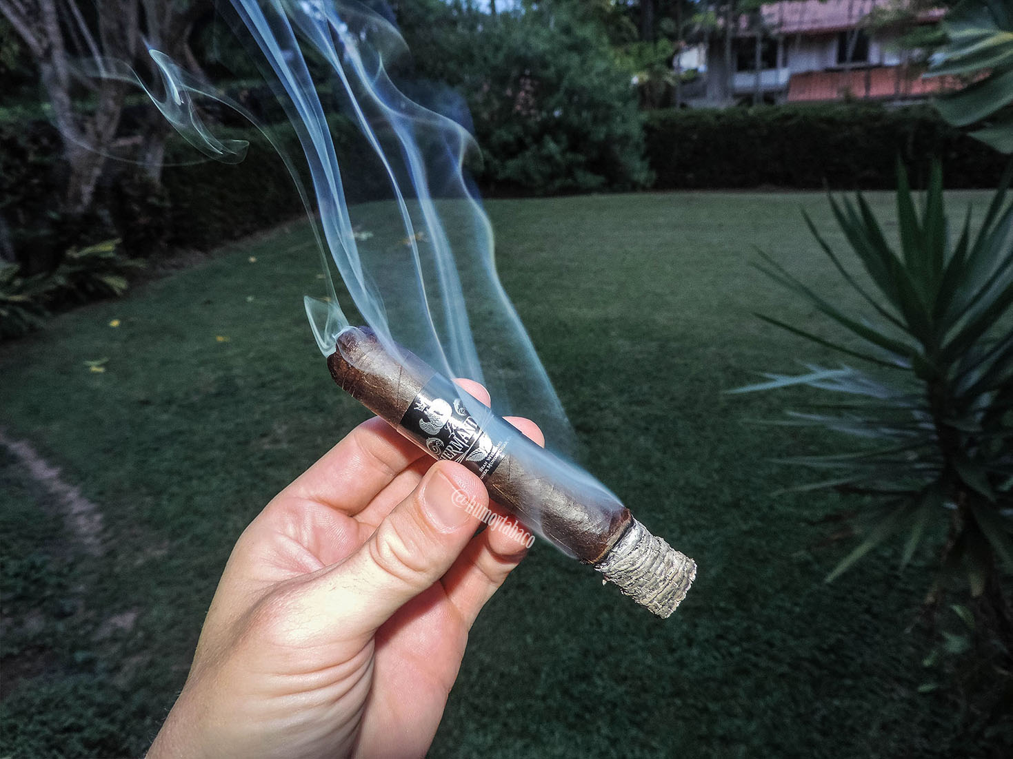 El Primer Mundo - La Hermandad 04