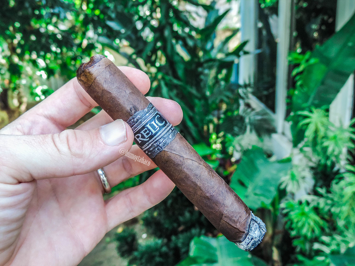 AJ Fernandez - Relic 02