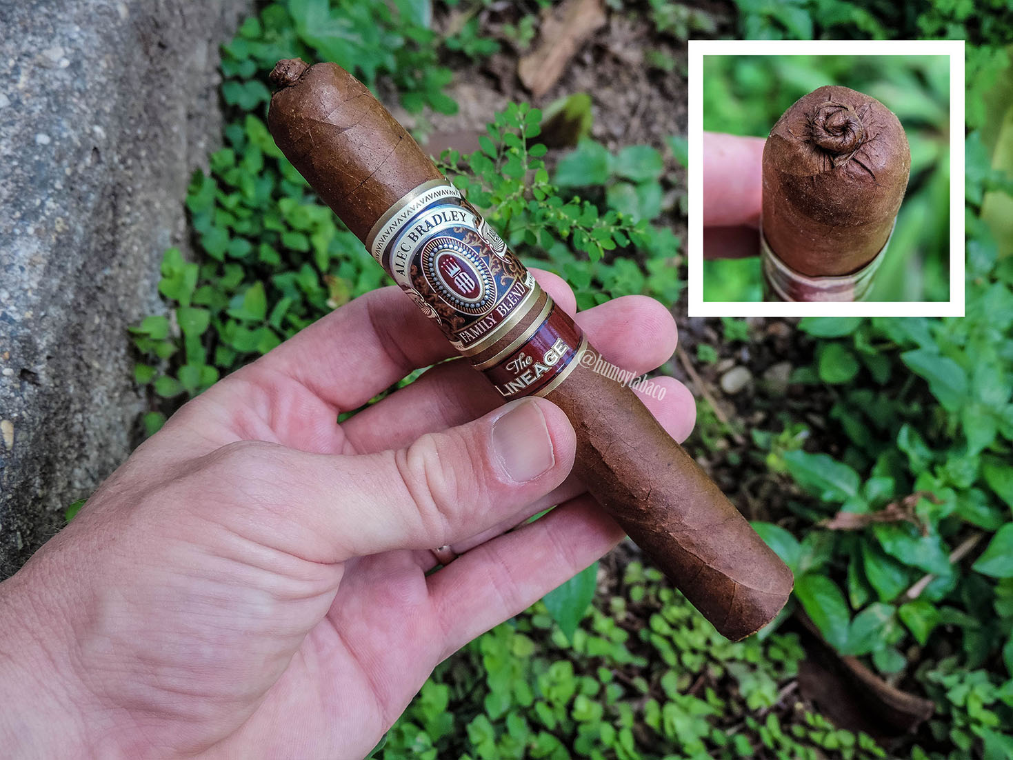 Alec Bradley - The Lineage 01