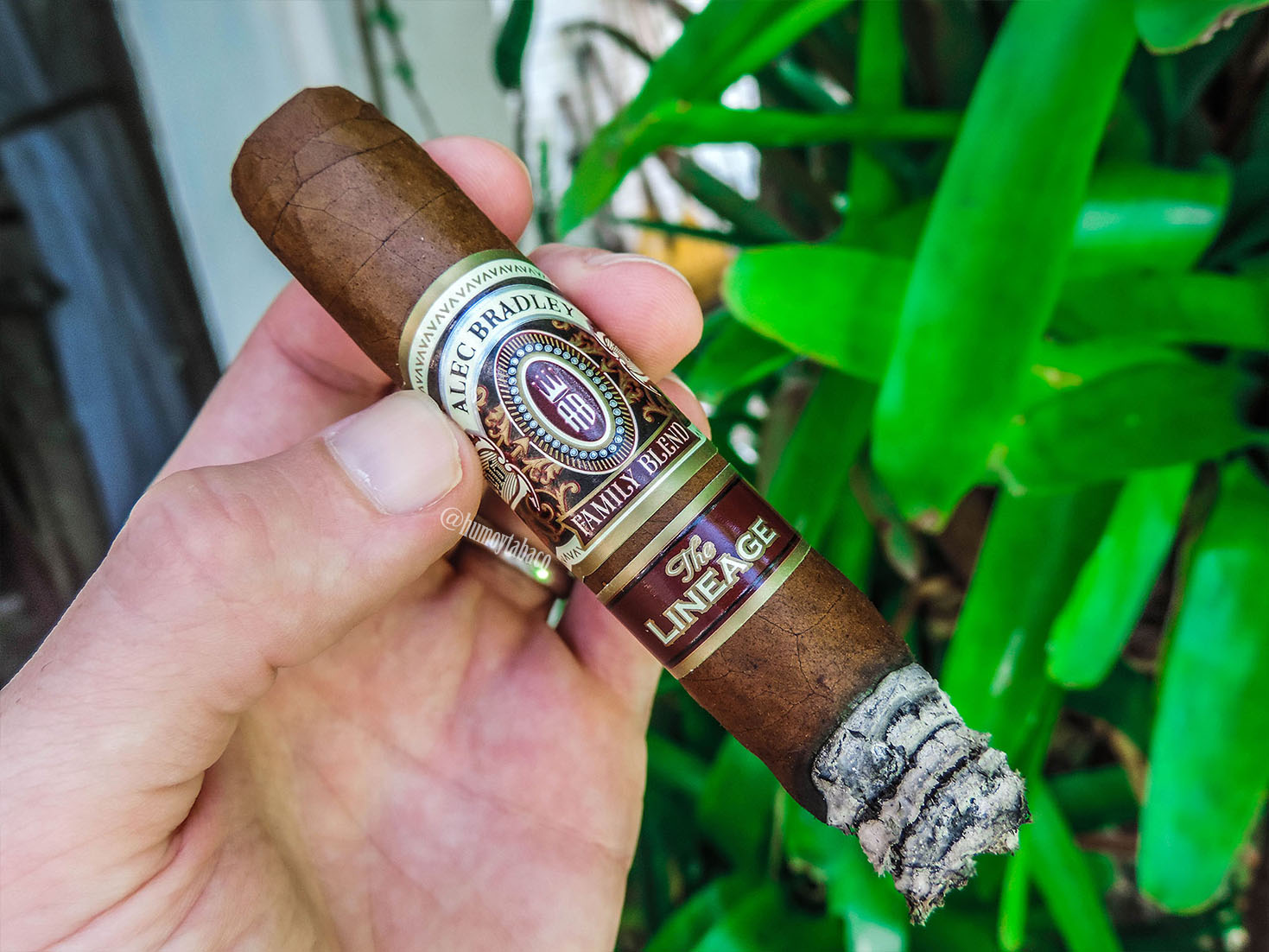 Alec Bradley - The Lineage 04