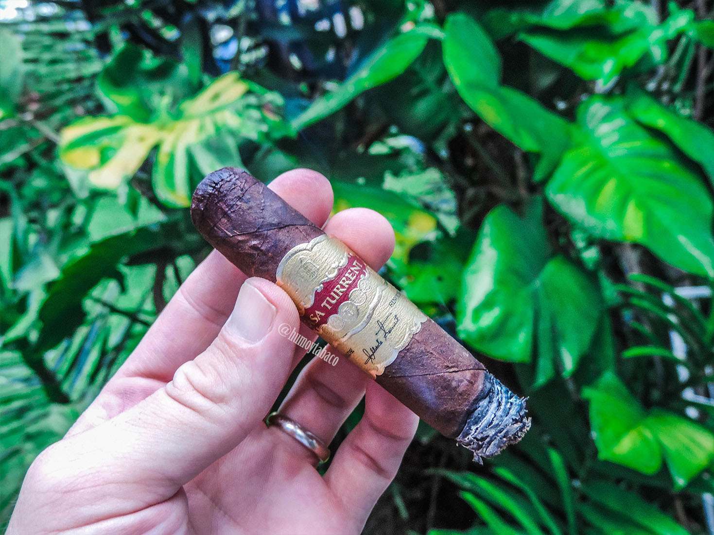 Casa Turrent - Serie 1901 04