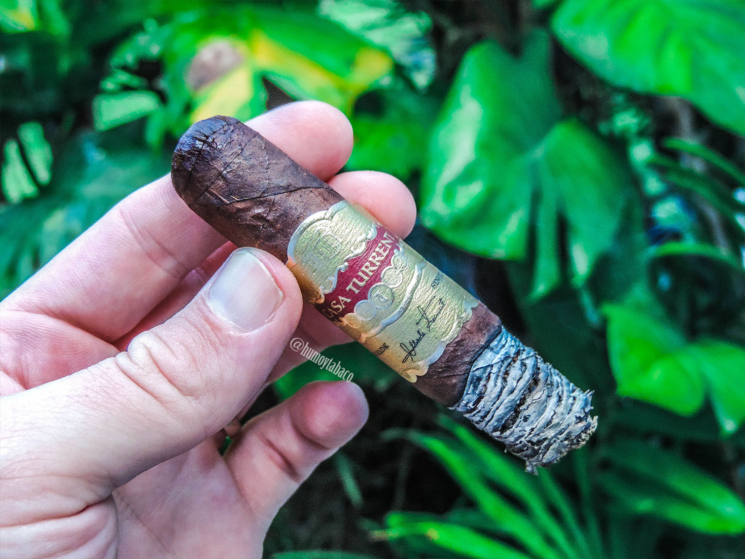 Casa Turrent - Serie 1901 05