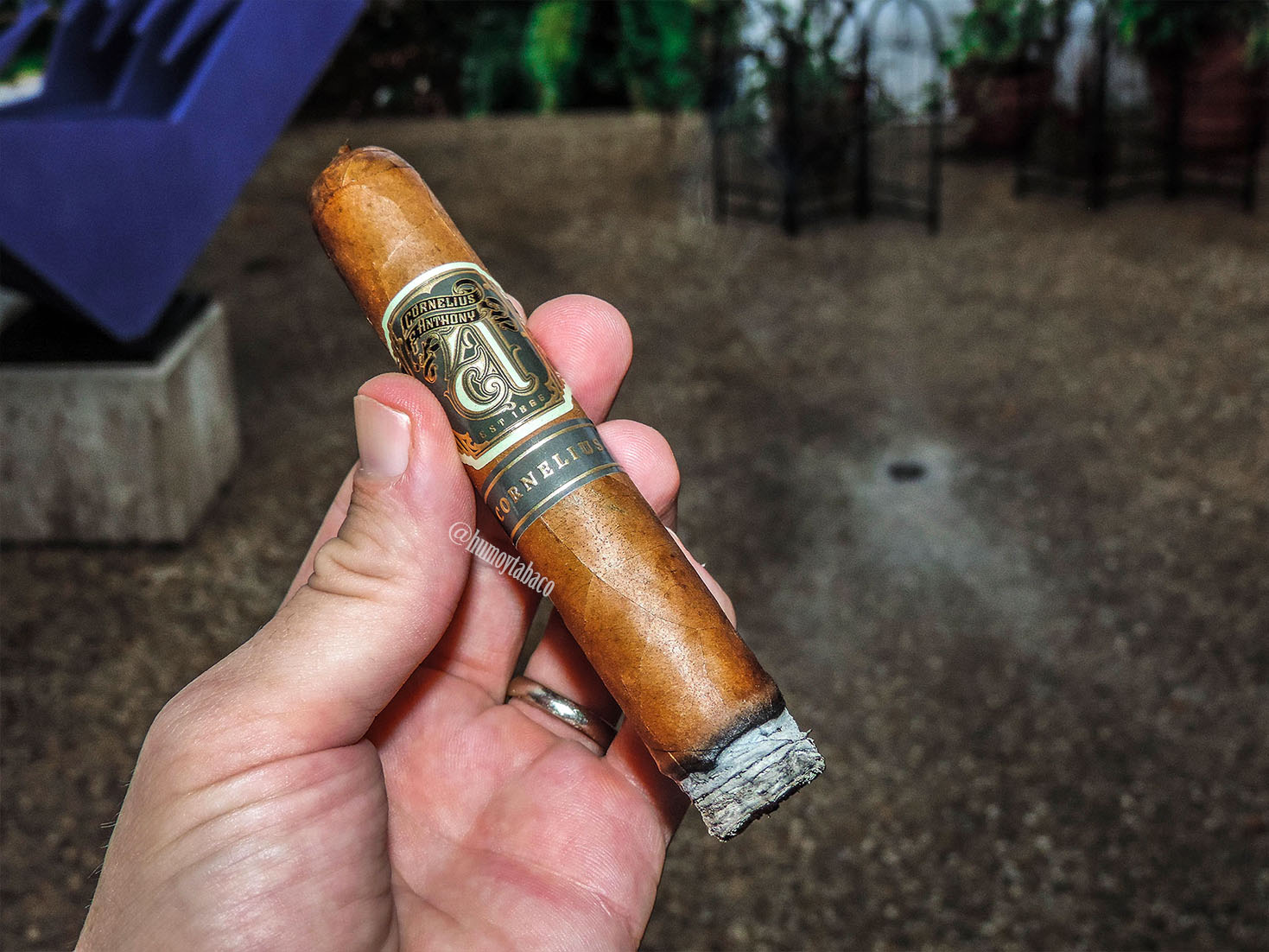 Cornelius & Anthony - Cornelius 02