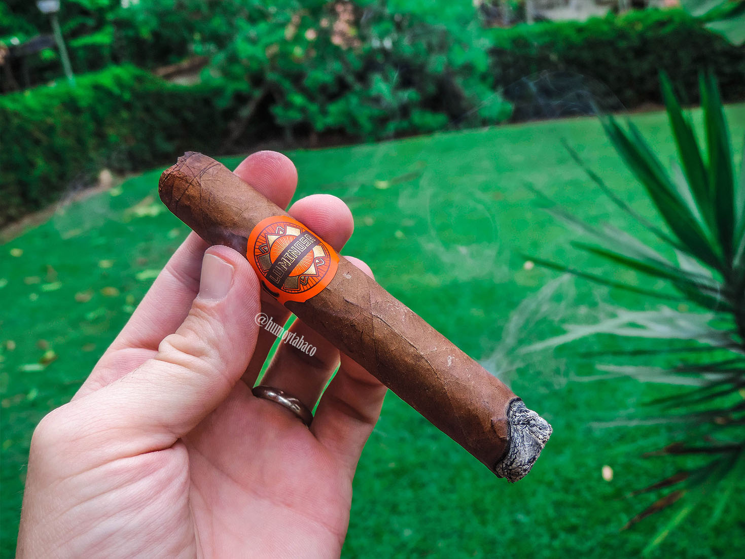 Crowned Heads - Luminosa 02