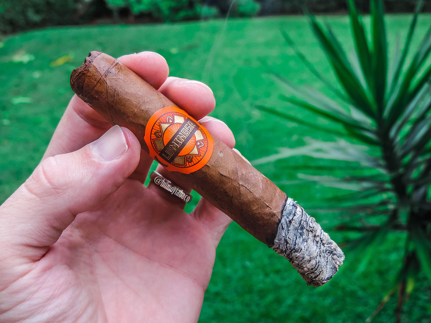 Crowned Heads - Luminosa 03